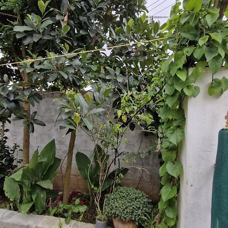Malgudi Mane Homestay Chikmagalūr Kültér fotó