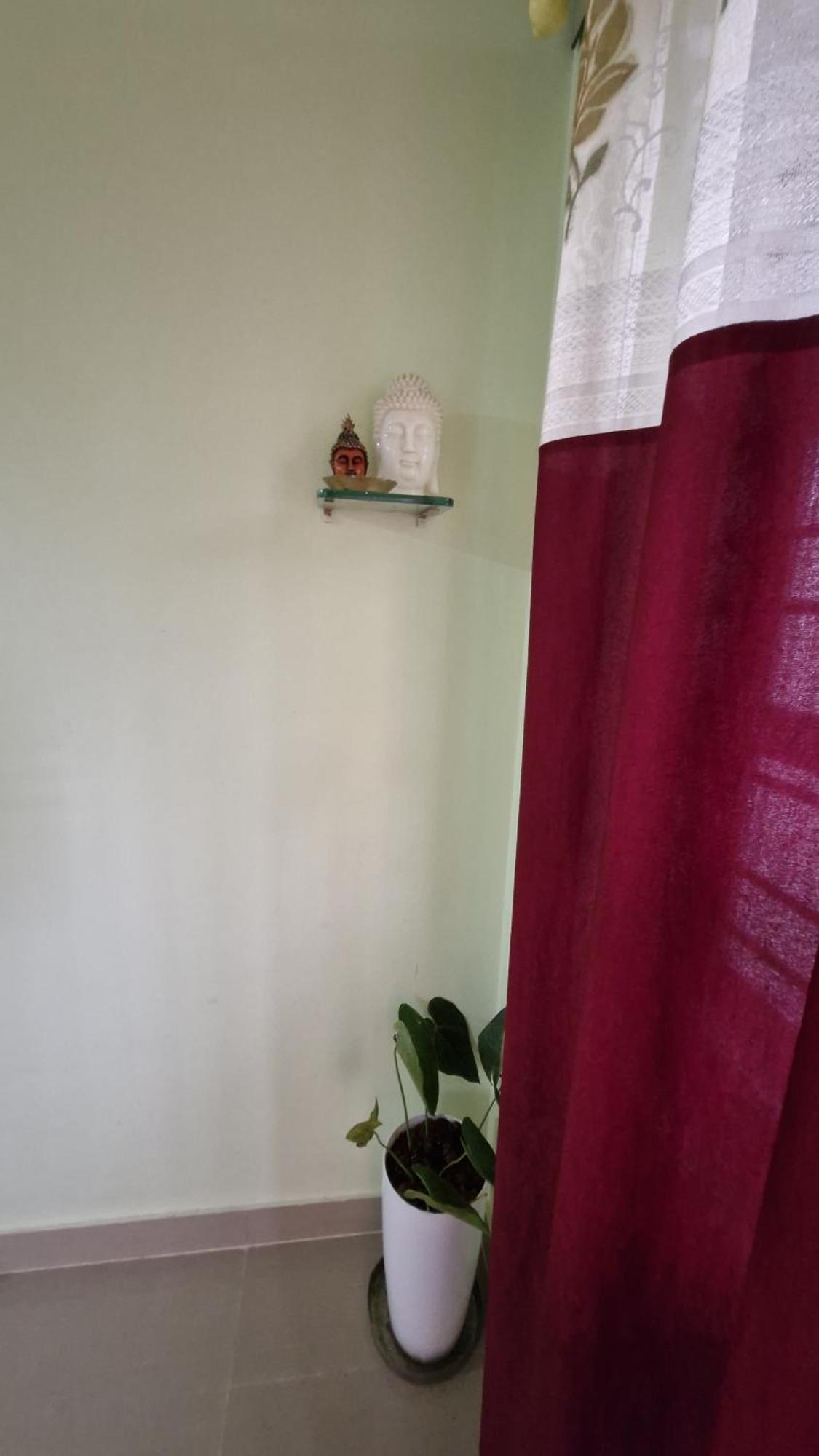 Malgudi Mane Homestay Chikmagalūr Kültér fotó
