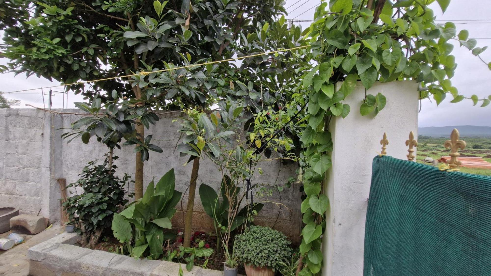 Malgudi Mane Homestay Chikmagalūr Kültér fotó